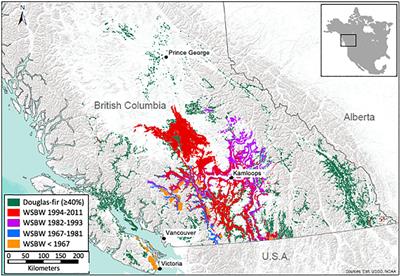 In the Pursuit of Synchrony: Northward Shifts in Western Spruce Budworm Outbreaks in a Warming Environment